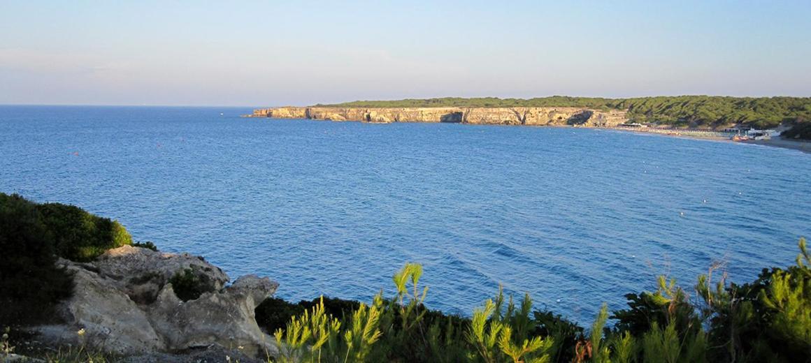 Allegra -