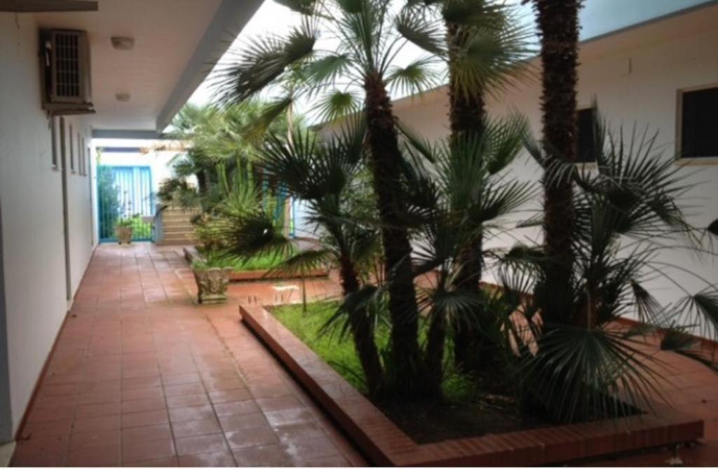 Apartment Allegra -